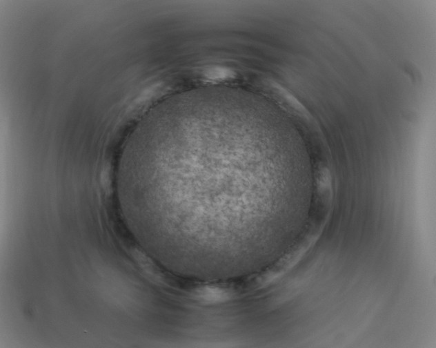 X0000113890565200910081811