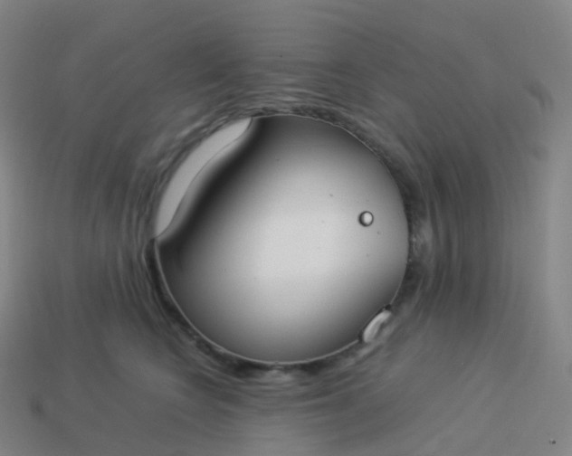 X0000113890566200910081811