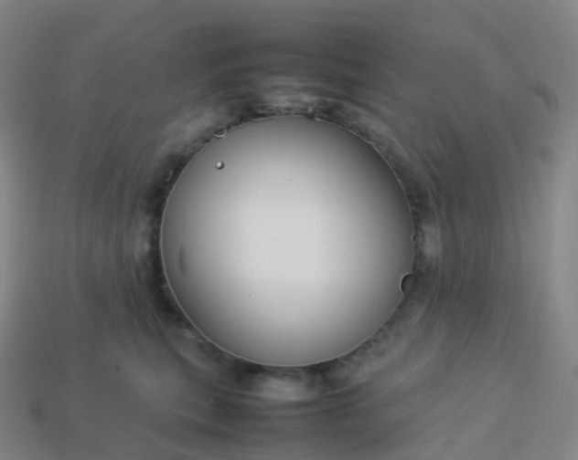 X0000113890567200910081811