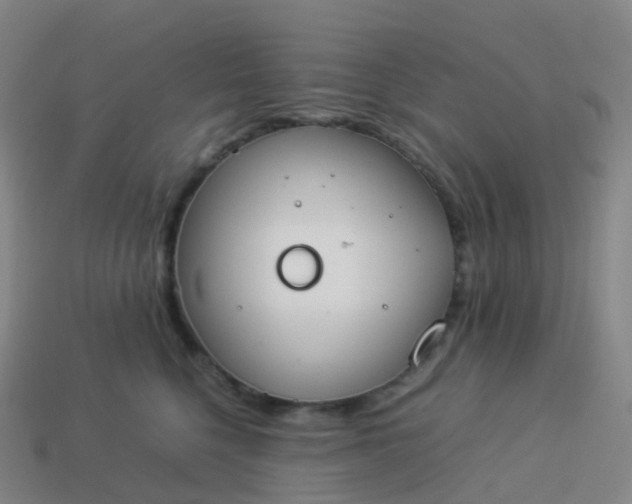 X0000113890568200910081811