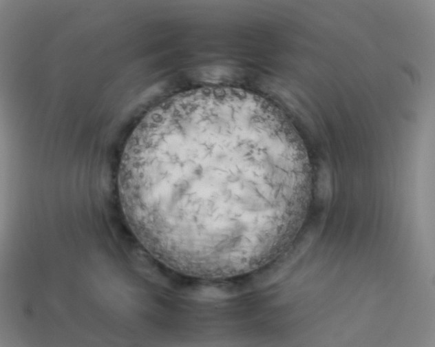 X0000113890569200910081811