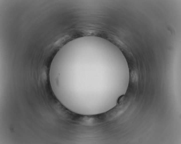 X0000113890570200910081811