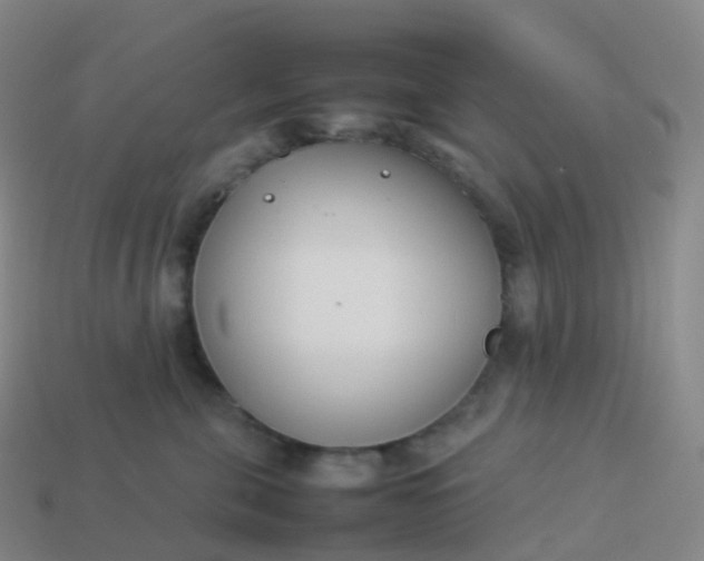 X0000113890571200910081811