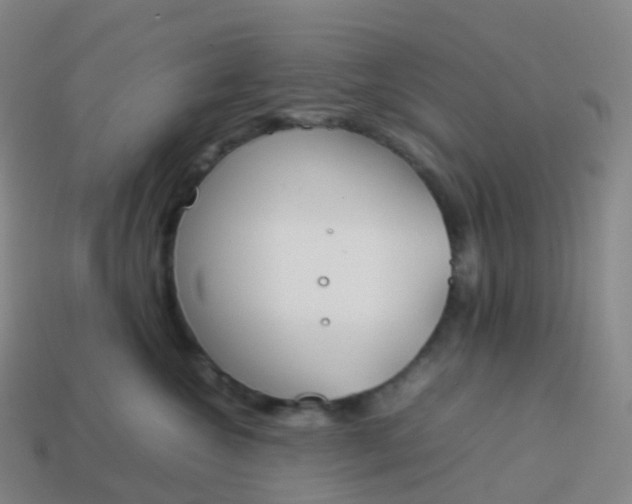 X0000113890572200910081811