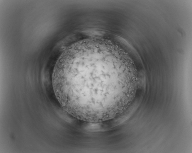 X0000113890573200910081811