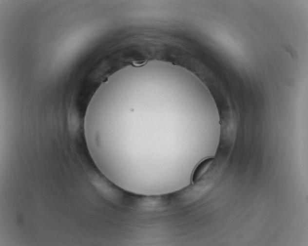 X0000113890574200910081811