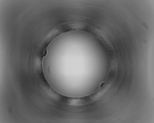 X0000113890575200910081811