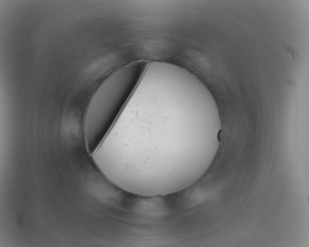 X0000113890576200910081811