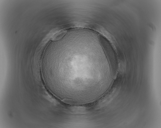 X0000113890577200910081810