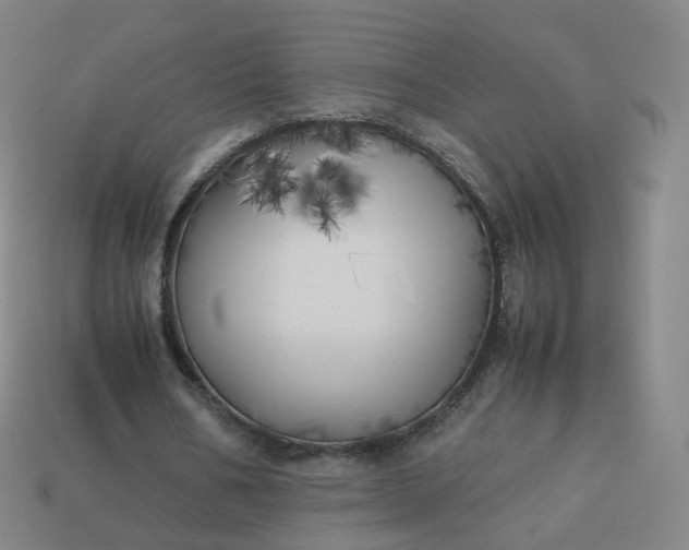 X0000113890578200910081810