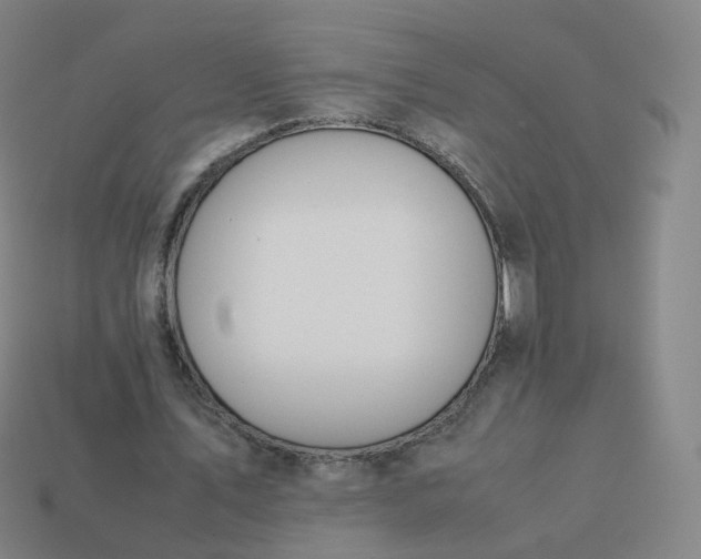 X0000113890579200910081810