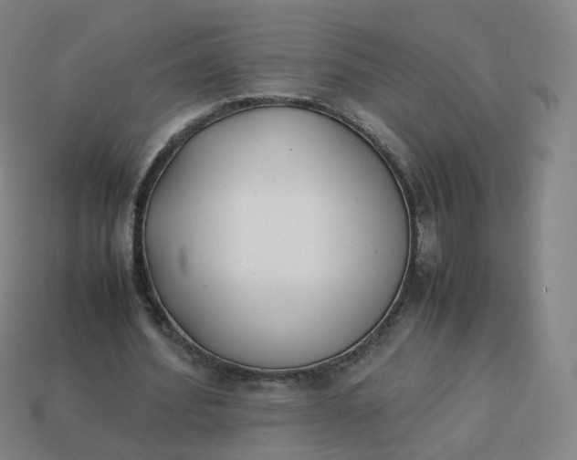 X0000113890580200910081810