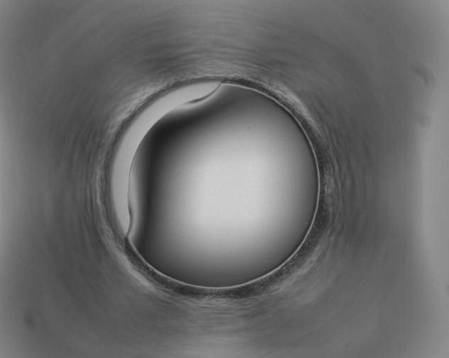 X0000113890581200910081810