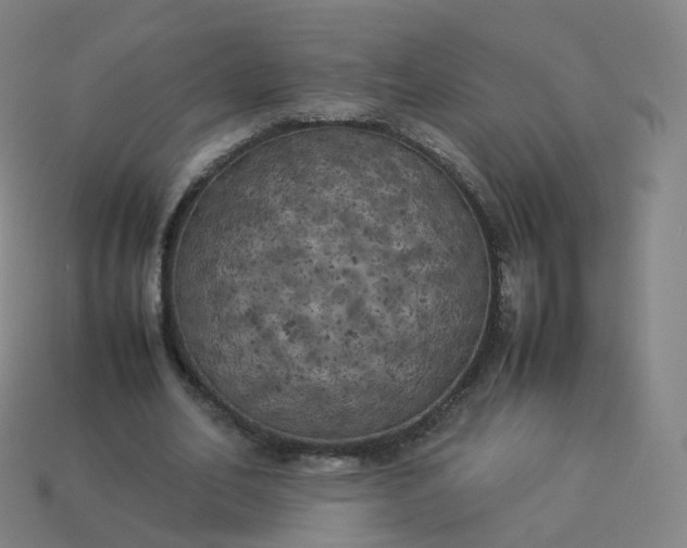 X0000113890582200910081810