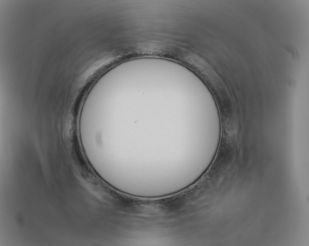 X0000113890583200910081810