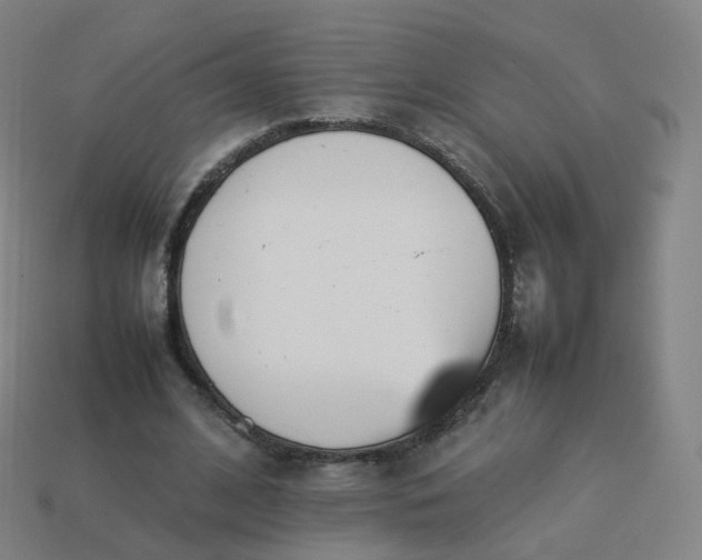 X0000113890584200910081810