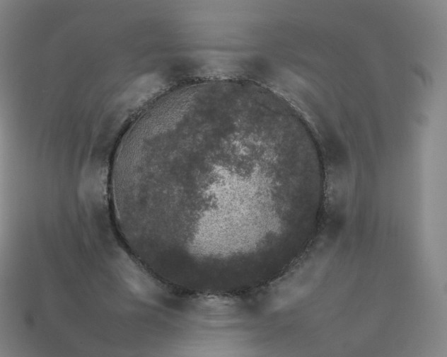 X0000113890585200910081810