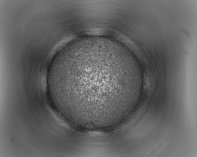 X0000113890586200910081810