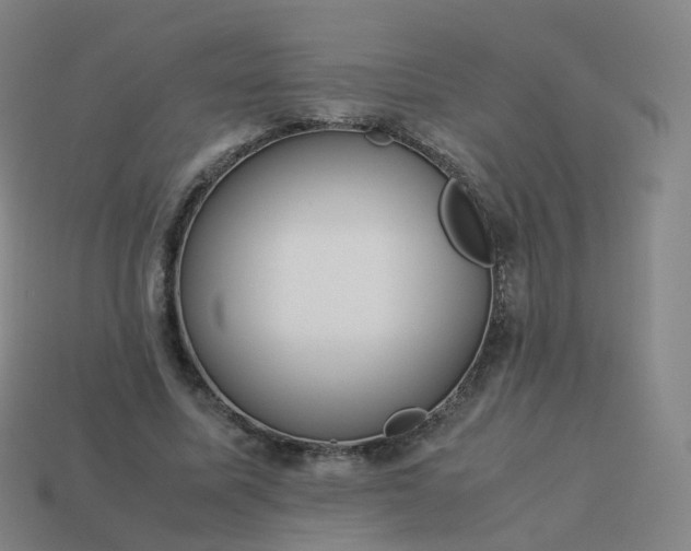 X0000113890587200910081810