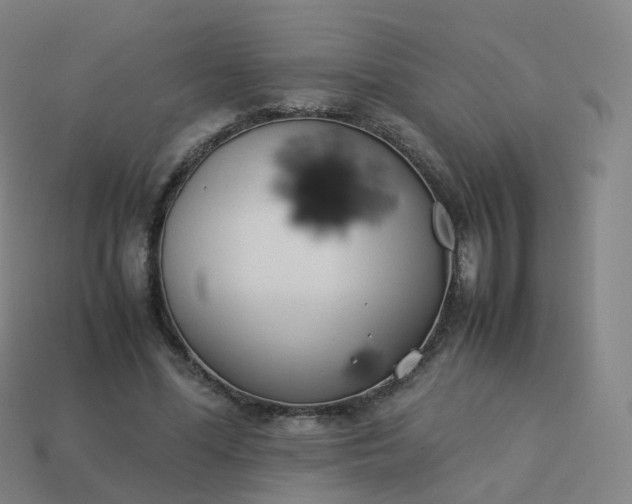 X0000113890588200910081810