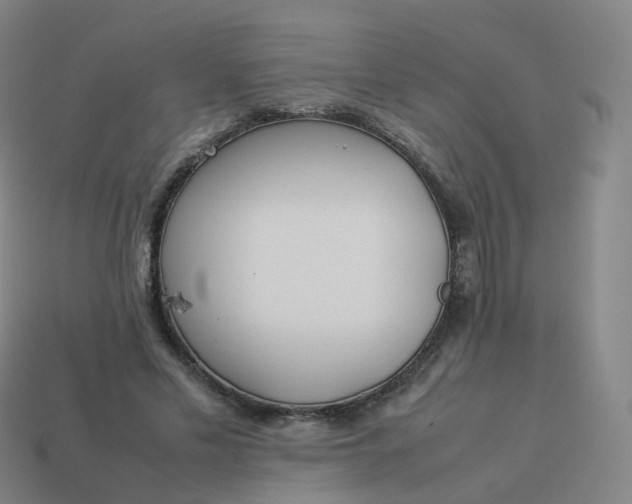 X0000113890589200910081810