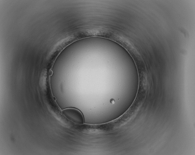 X0000113890590200910081810