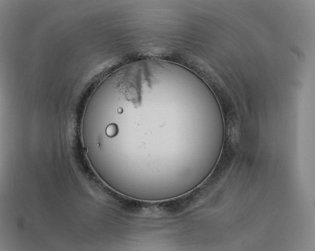 X0000113890591200910081810