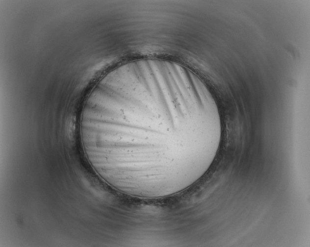 X0000113890592200910081810