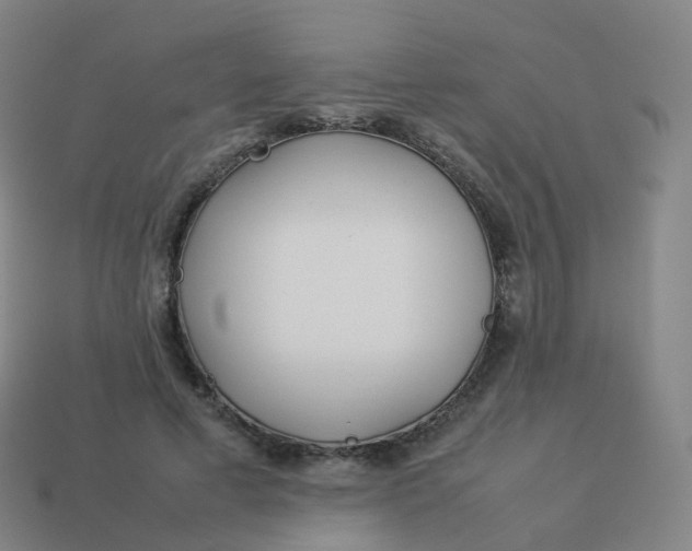 X0000113890593200910081810