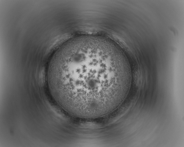 X0000113890594200910081810