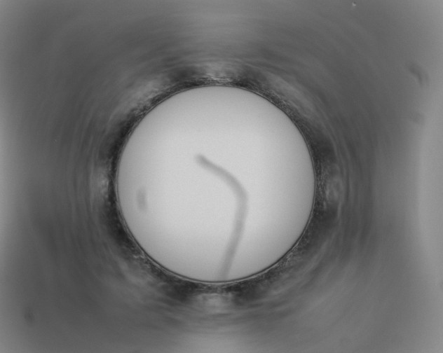 X0000113890595200910081810