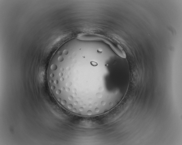 X0000113890596200910081810