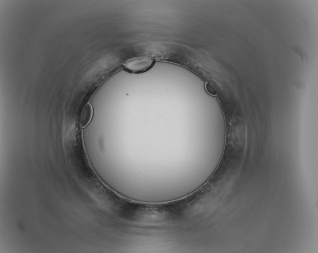 X0000113890597200910081810