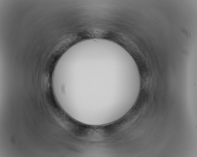 X0000113890599200910081810