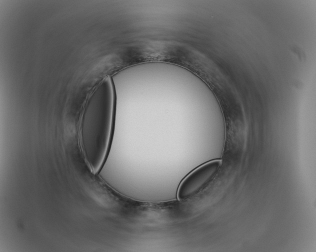 X0000113890601200910081810