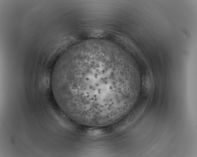 X0000113890602200910081810