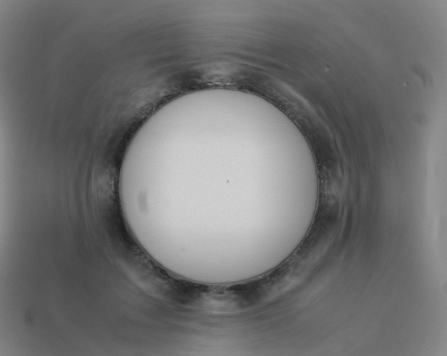 X0000113890603200910081810