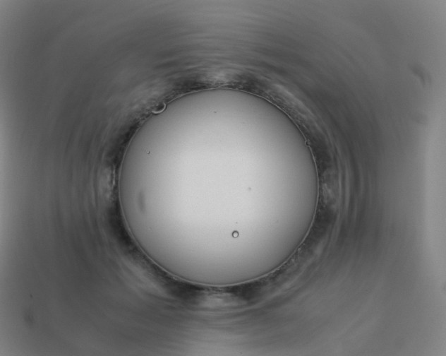 X0000113890605200910081810