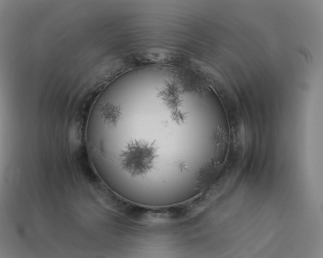 X0000113890606200910081810