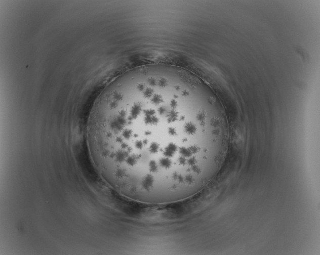 X0000113890607200910081810