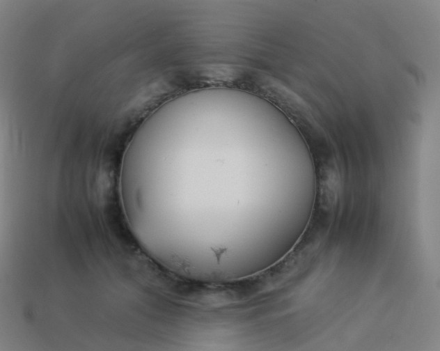 X0000113890608200910081810