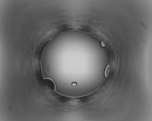 X0000113890609200910081810