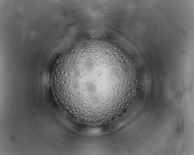 X0000113890610200910081810