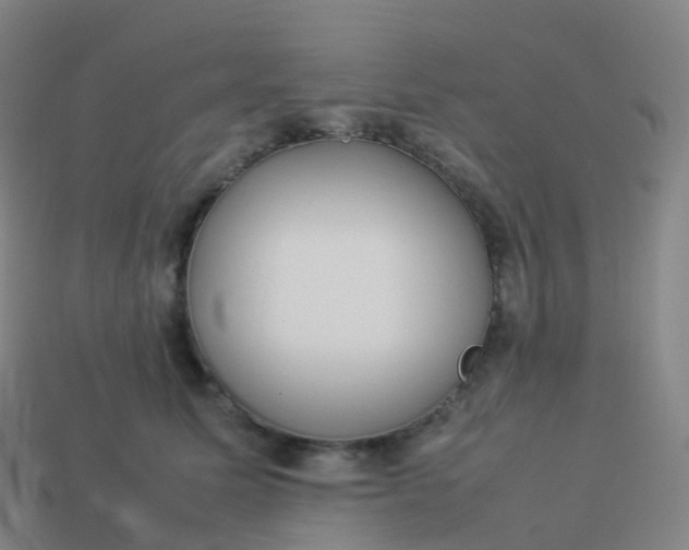 X0000113890611200910081810