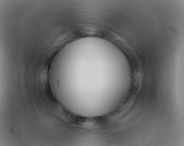 X0000113890612200910081810