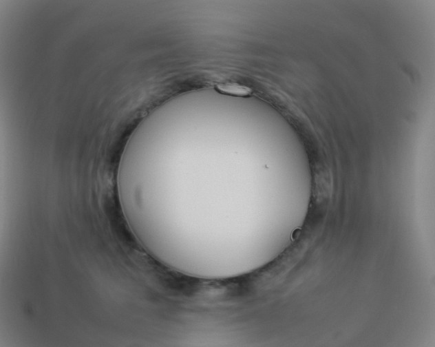 X0000113890613200910081810