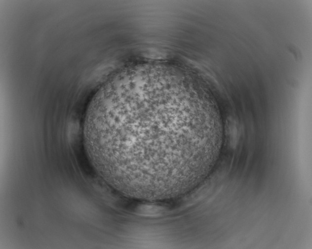 X0000113890614200910081810