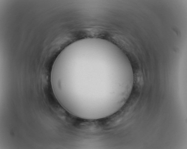 X0000113890615200910081810