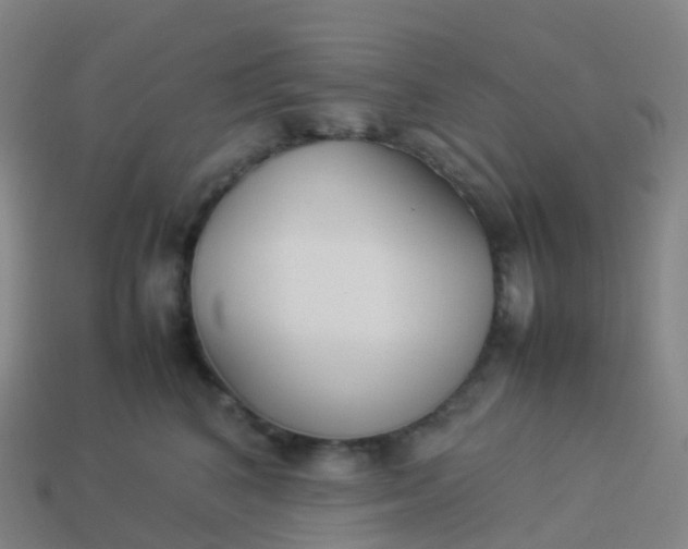 X0000113890616200910081810