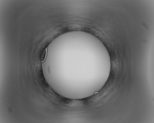 X0000113890617200910081810